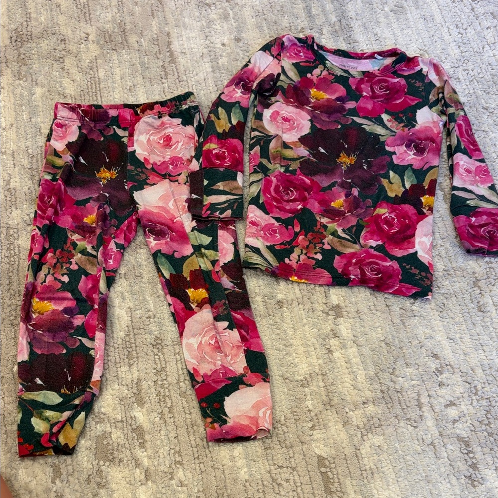 Posh Peanut Pink and Green Floral Pajama Set 2t